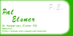 pal elsner business card